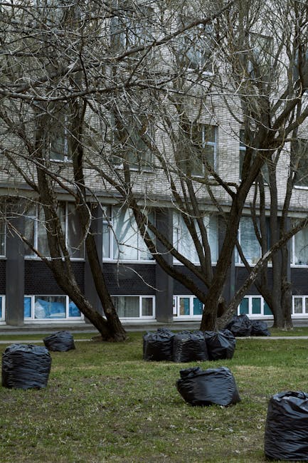 The image depicts a grassy outdoor area in front of a multi-storey residential building with a modern facade featuring large windows and a combination of light and dark materials. Several leafless trees with dark, textured bark are situated close to the building, their branches extending across the scene, partially obscuring the windows and creating a natural canopy. In the foreground, numerous black garbage bags, filled and tightly sealed, are scattered across the grass, some standing upright while others are leaning or lying on their sides. The scene appears to be set during daytime with overcast lighting, giving a neutral, muted atmosphere. The arrangement of the garbage bags suggests a recent or ongoing rubbish removal effort, aligning with services offered by rubbish removal companies such as Rubbish Removal Roehampton, which handle domestic or commercial waste on-site or through private disposal methods, avoiding reliance on local authority collection. The overall composition highlights a typical urban environment where waste management services are employed for efficient rubbish clearance.
